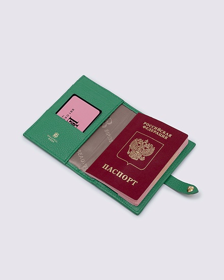 Обложка на паспорт SPRINGGREEN